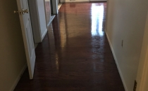 Engineered Unfinished stained Cherry