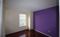 Painting Accent Wall Metallic Purple